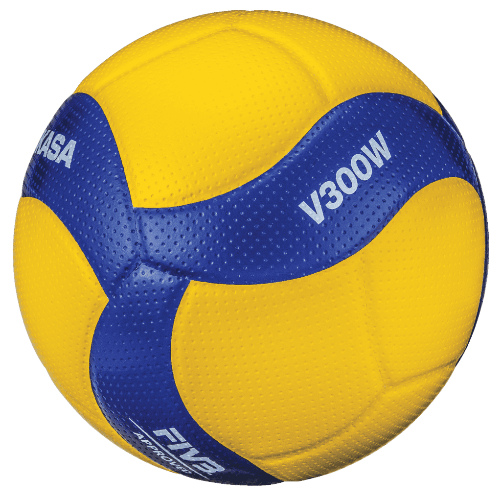 V300W - Image 2